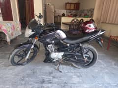 Yamaha YBR 125 2015