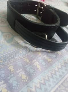 Dog saftie belt