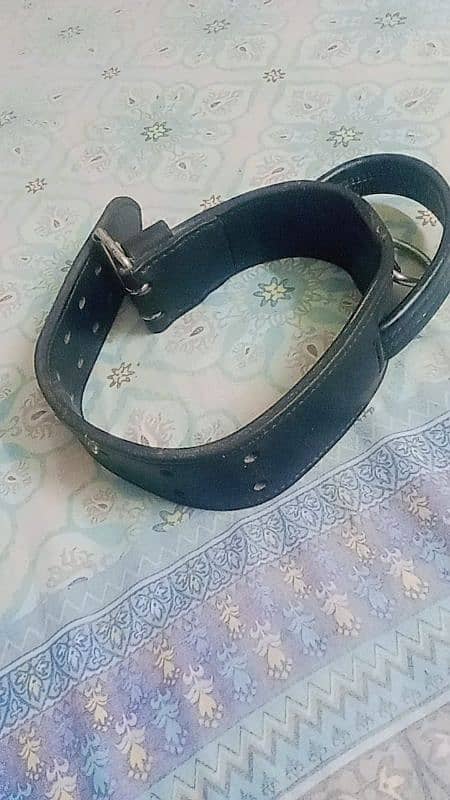 Dog saftie belt 3