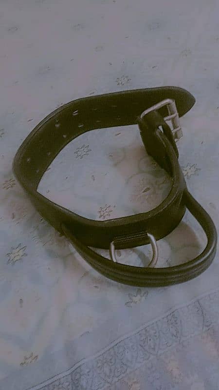 Dog saftie belt 4