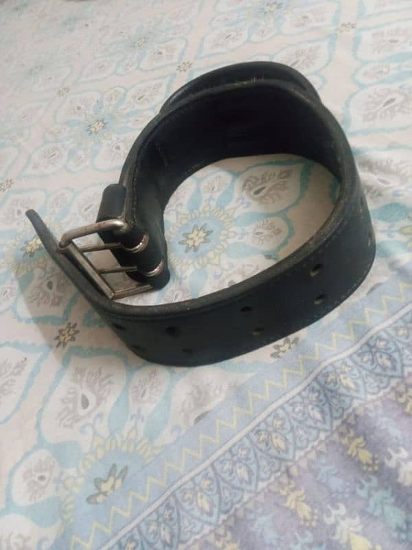 Dog saftie belt 6