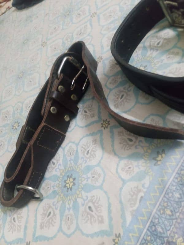 Dog saftie belt 7