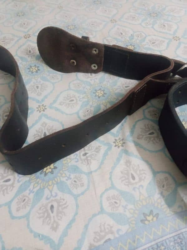 Dog saftie belt 9