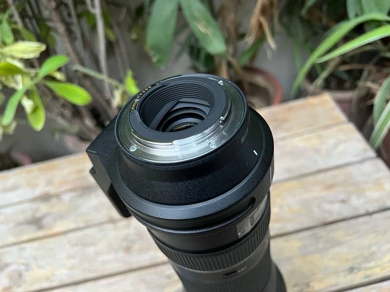 Tamron lens 150-600mm f/5-6.3 Di VC USD G1 Canon Mount 9