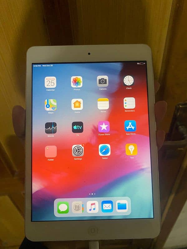 ipad mini 2 0