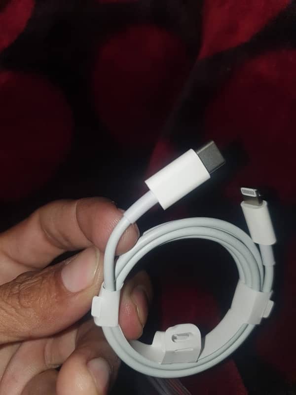 iPhone Original type-C Cable 1