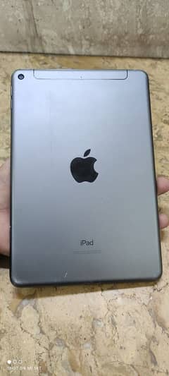 iPad mini 5