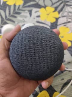 *Google Nest Mini 2nd Gen Mint condition with original charger.