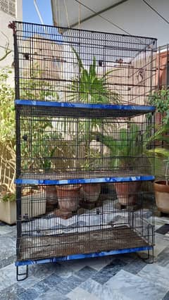 Cage for Parrots and Birds