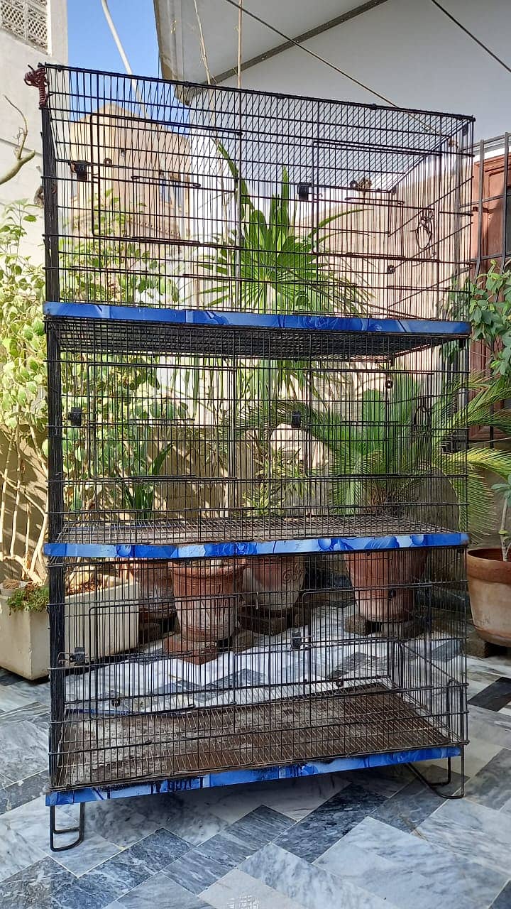 Cage for Parrots and Birds 0