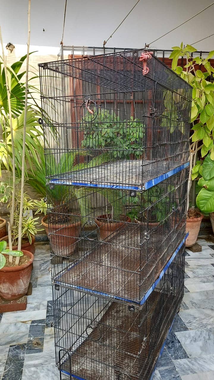 Cage for Parrots and Birds 1