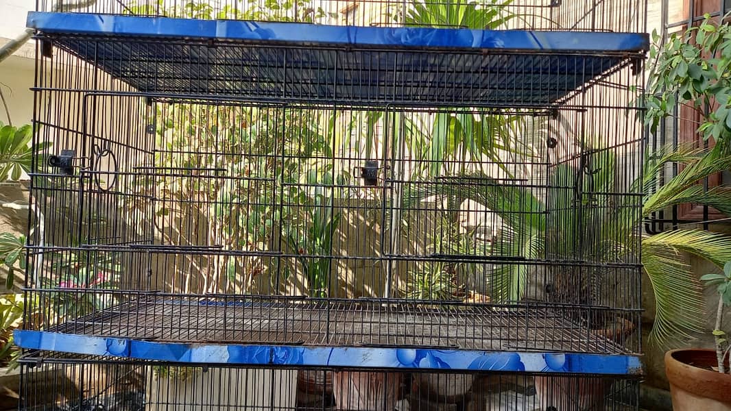 Cage for Parrots and Birds 2