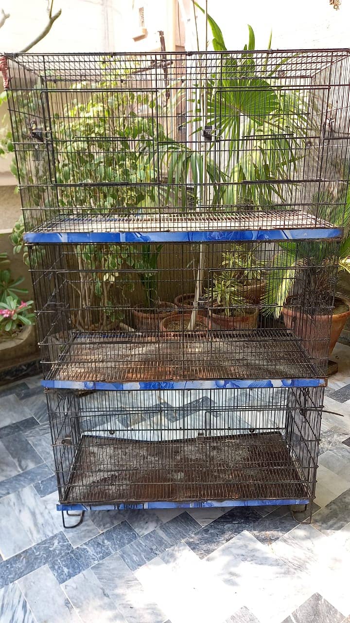 Cage for Parrots and Birds 3