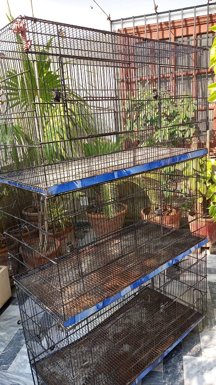 Cage for Parrots and Birds 4