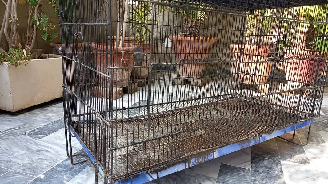 Cage for Parrots and Birds 6