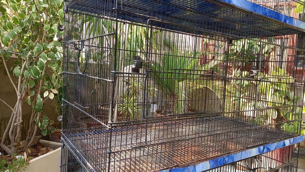 Cage for Parrots and Birds 7