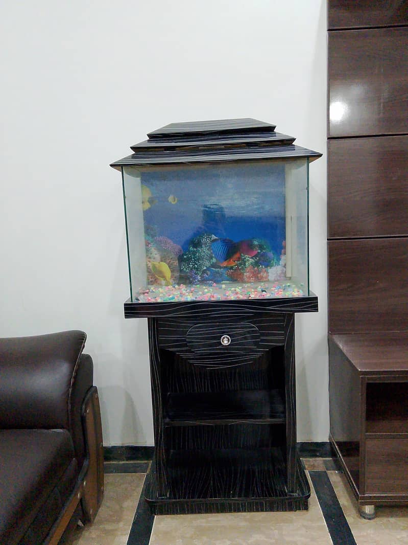 fish aquarium 0