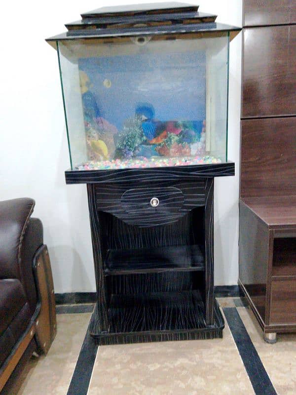 fish aquarium 4