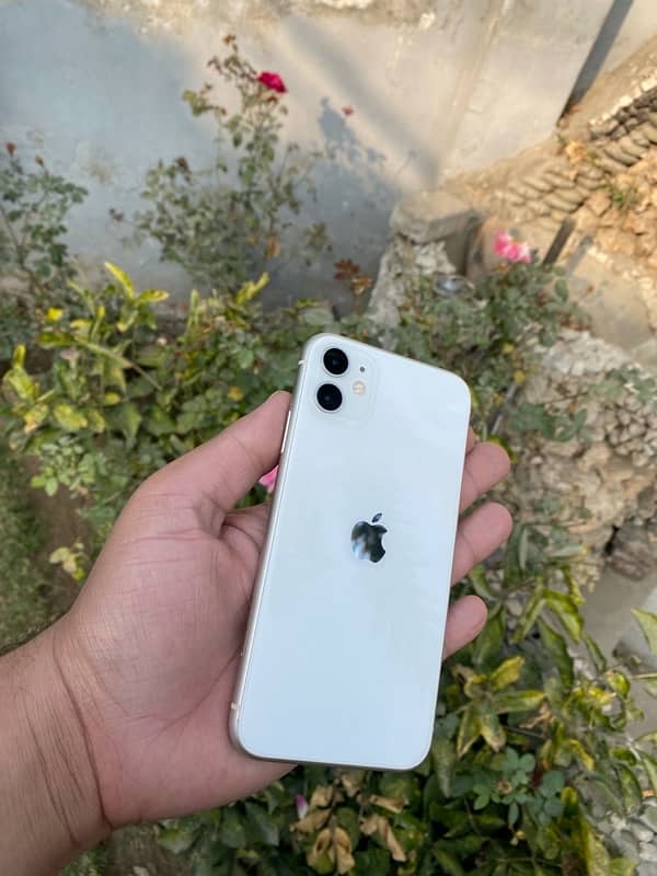 iPhone 11 pta approved 0