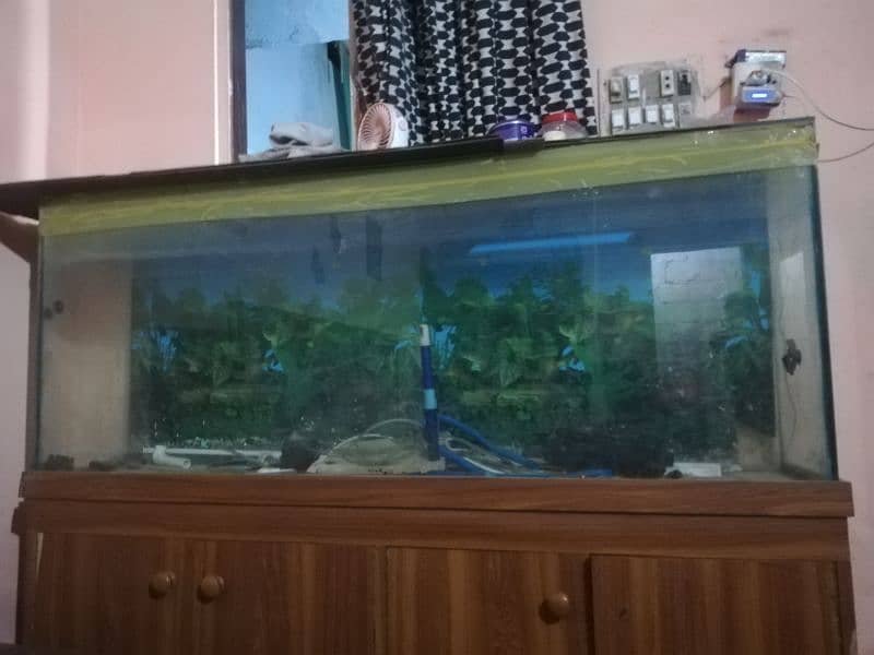 5ft aquarium for sale 0