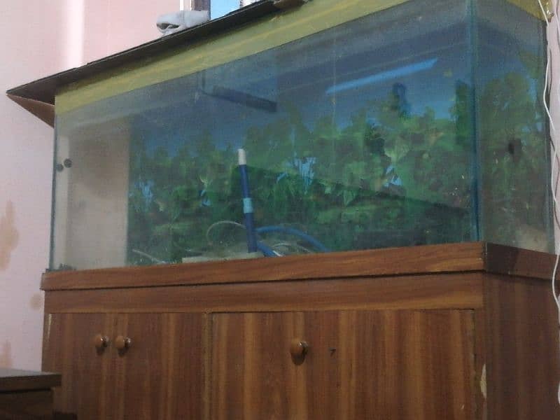 5ft aquarium for sale 1