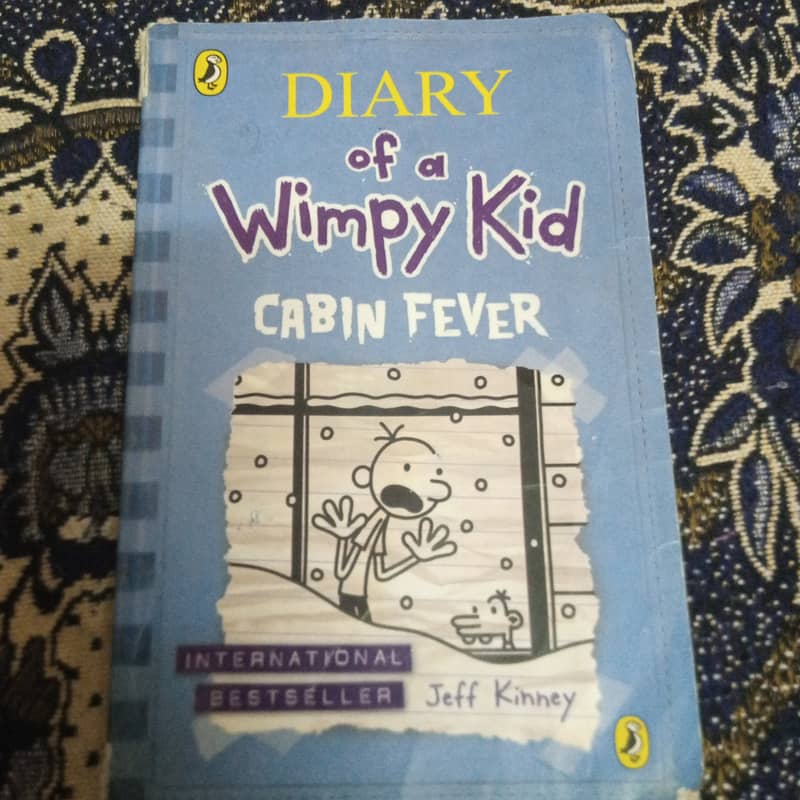 DIARY OF A VIMOY KID CABIN FEVER 0