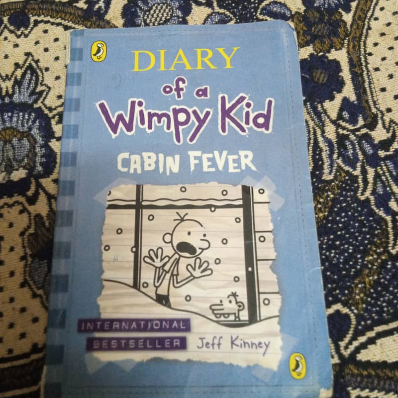 DIARY OF A VIMOY KID CABIN FEVER 1