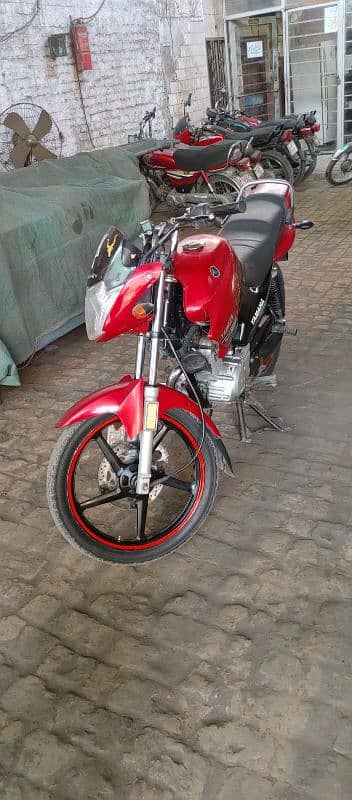 YBR125 1