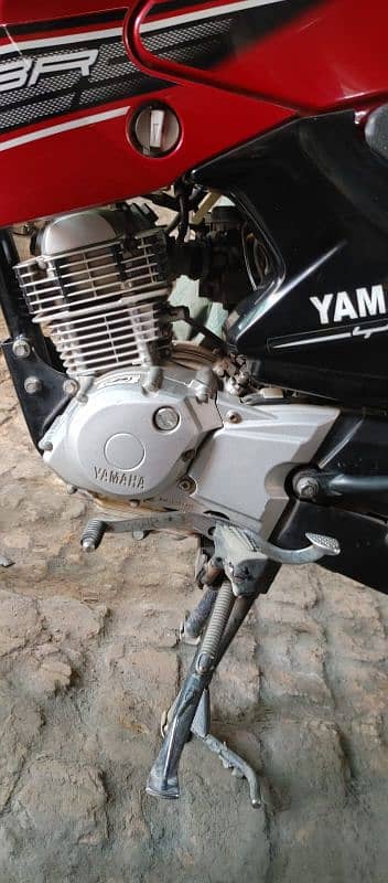 YBR125 6