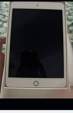 ipadmini 5