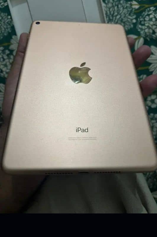 ipadmini 5 1