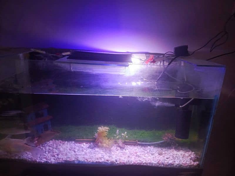 Aquarium 3 feet length & 2 feet height 1