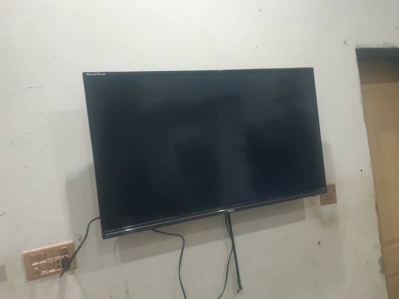 Orient Led Macaw series in good condition 1