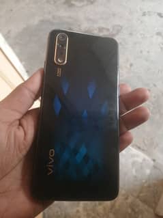 vivo