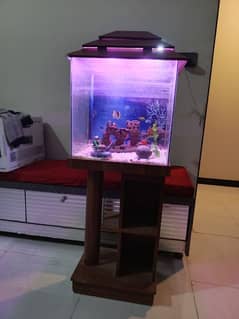 aquarium for sale