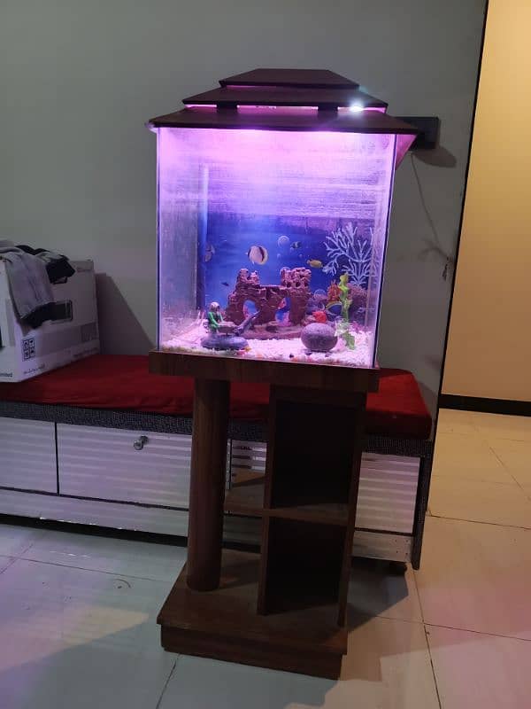 aquarium for sale 0