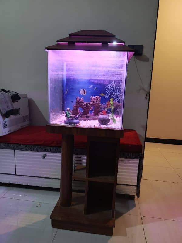 aquarium for sale 1