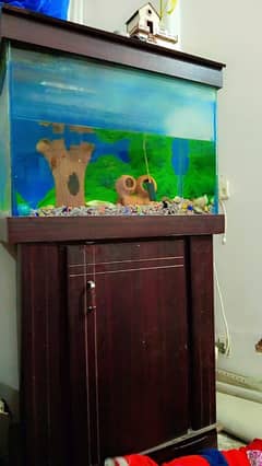 fish aquarium