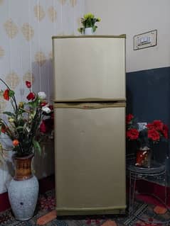 Fridge In Warranty