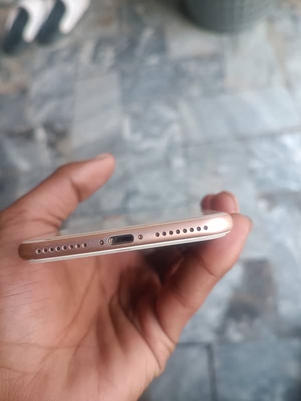 iPhone 8 plus rose gold 4