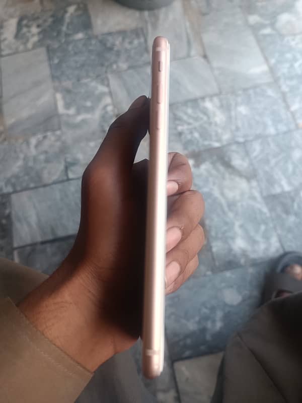 iPhone 8 plus rose gold 6