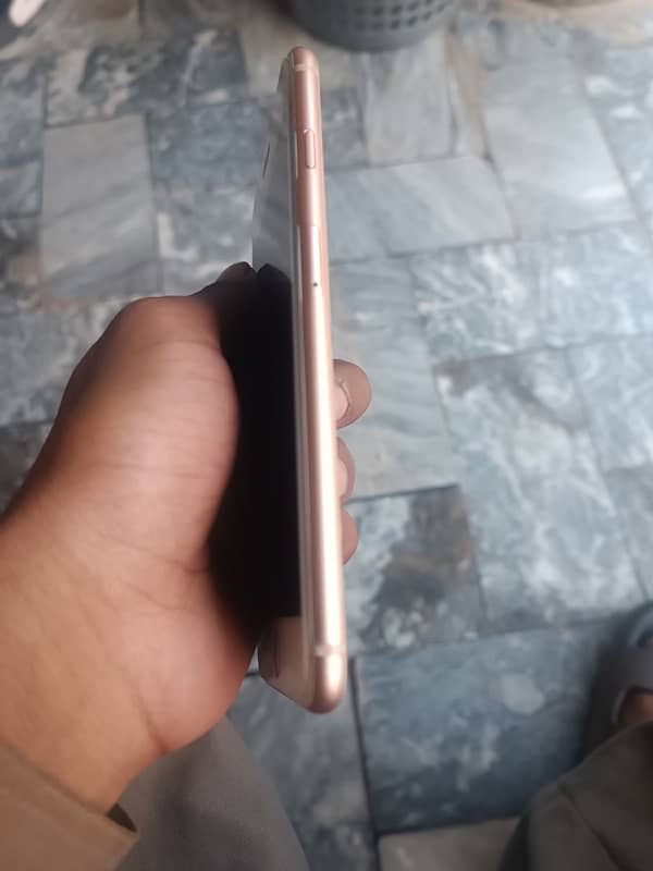 iPhone 8 plus rose gold 12