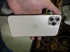 iphone 12 pro max official pta approved