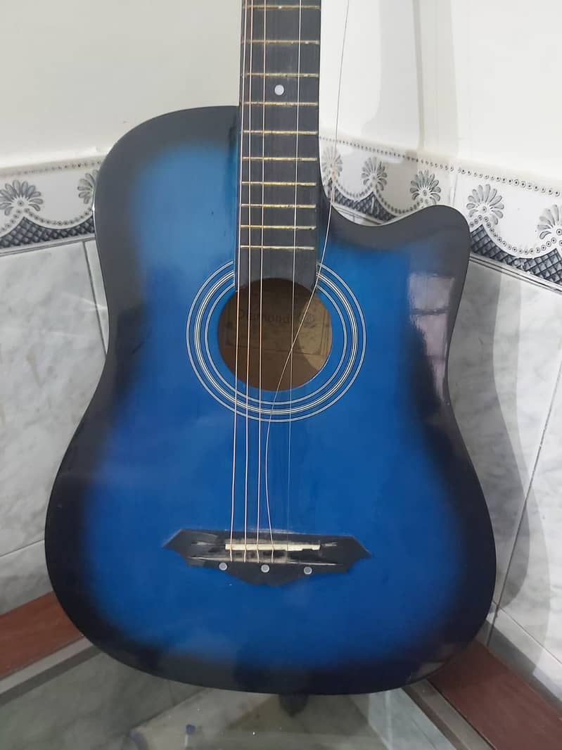 Guitar Swift Horse 6