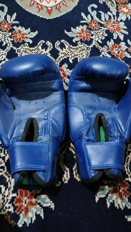 Boxing Gloves For Sale 1