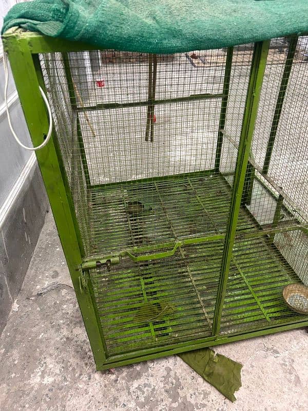 cage for birds raw parrot gray macaow 3