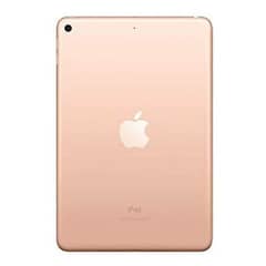 Apple iPad mini5