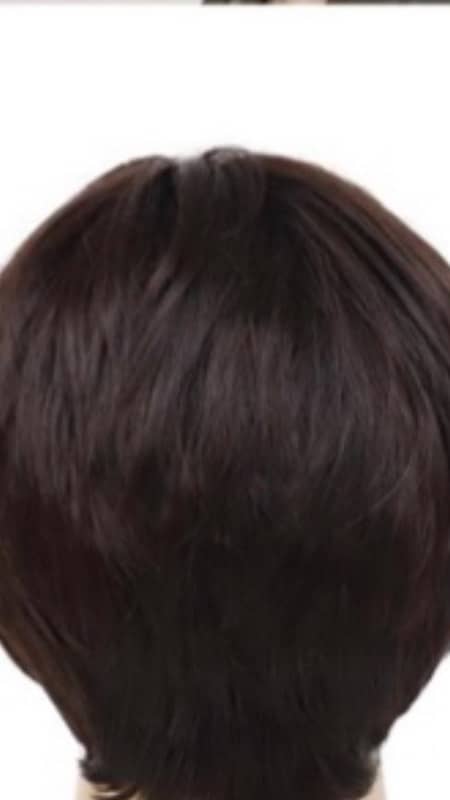 hair wig 1