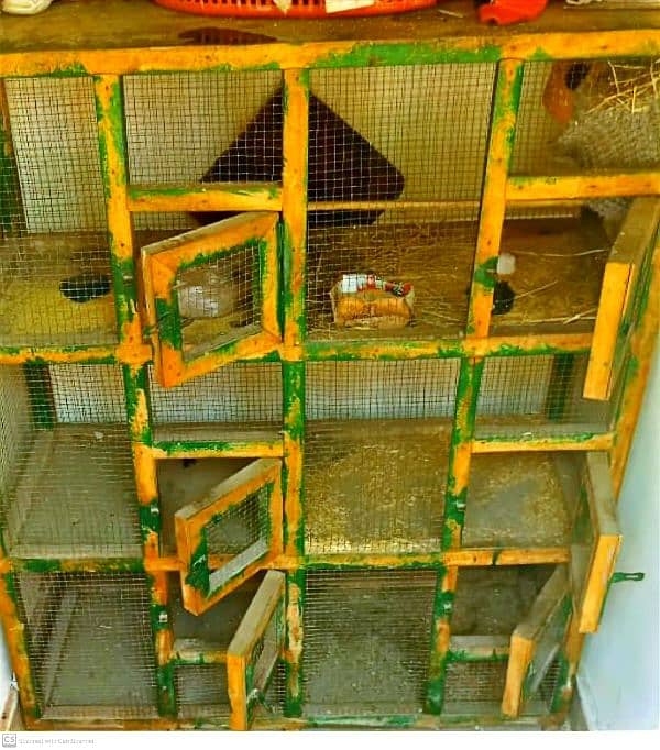 Cage Big size 6 compartment 3+3 0