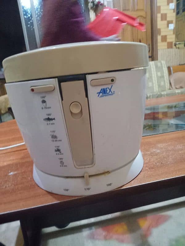 deep fryer ANEX 3